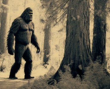 Five Of The Best American Cryptids